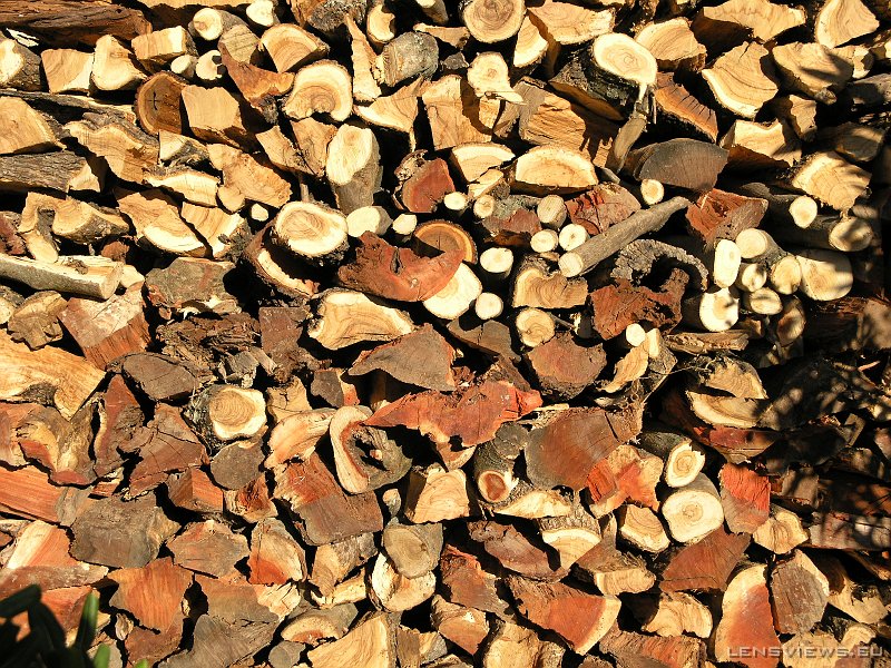 2006_11_19 10_01_08 OLYMPUS DIGITAL CAMERA         